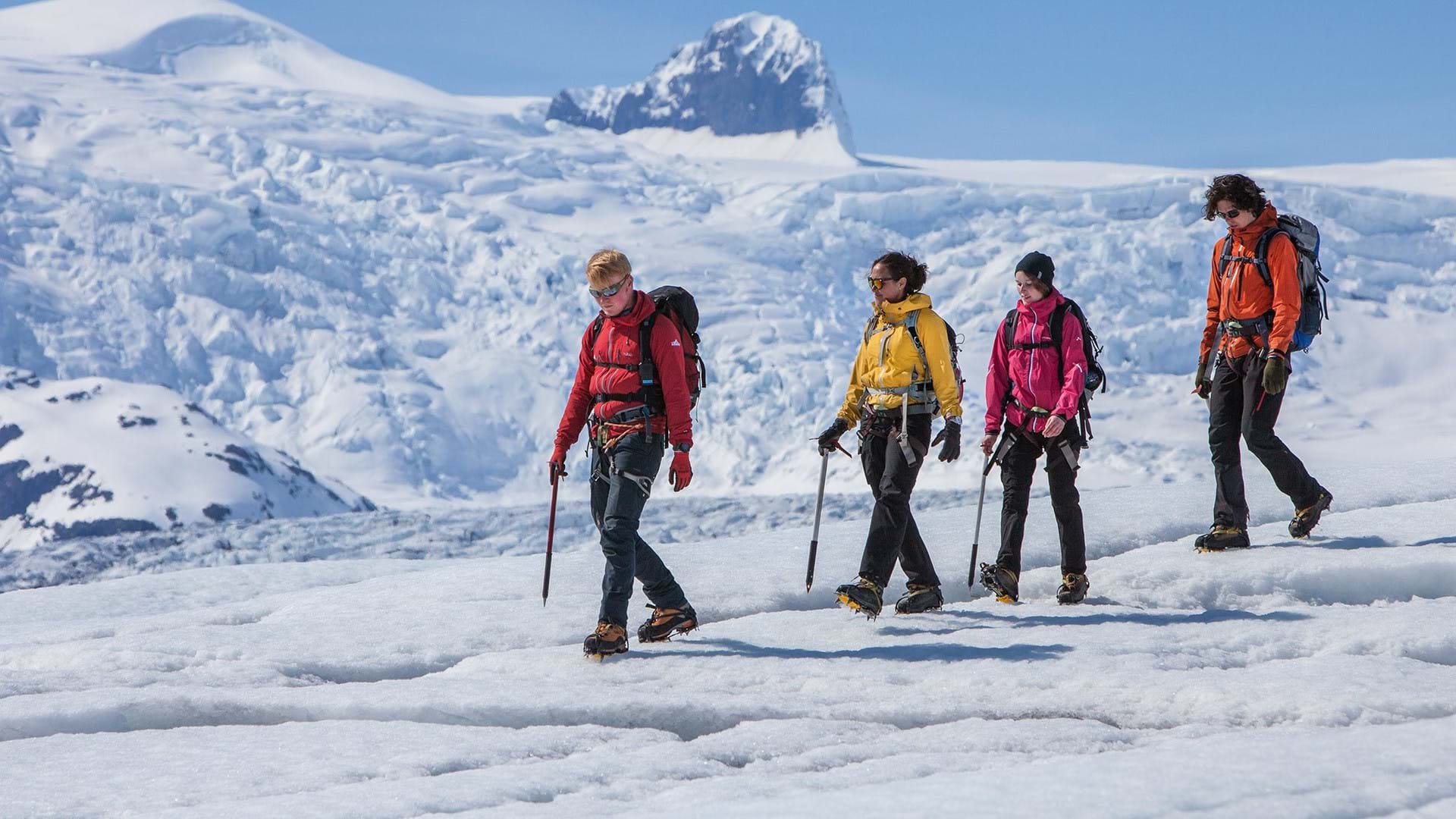 Four people glacier walking in Iceland