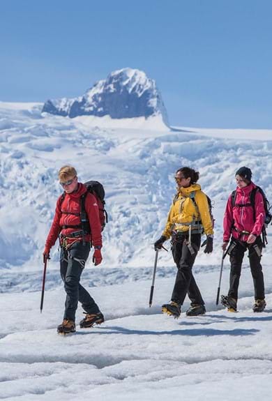 Four people glacier walking in Iceland
