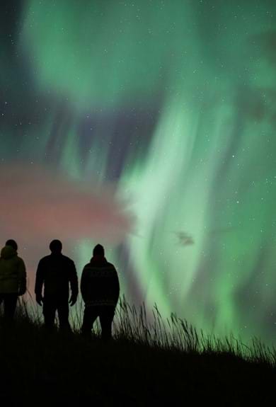 Three silhouettes of people admiring green Iceland Northern Lights at night